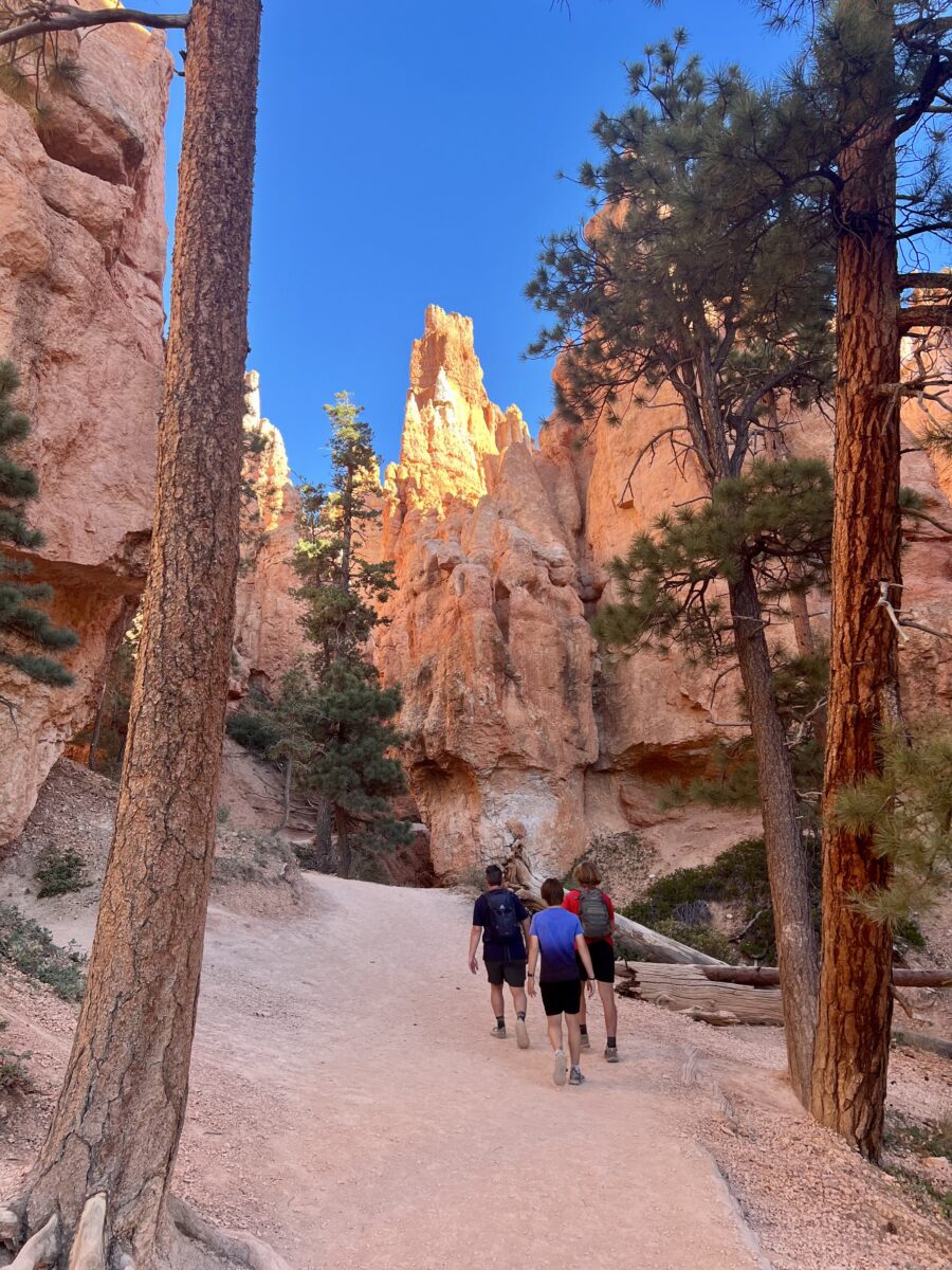 Three hikers walk along a sandy trail surrounded by tall pines and striking orange rock formations, discussing teaching kids about money on vacation. Sunlight illuminates the rocky spires ahead under a clear blue sky.